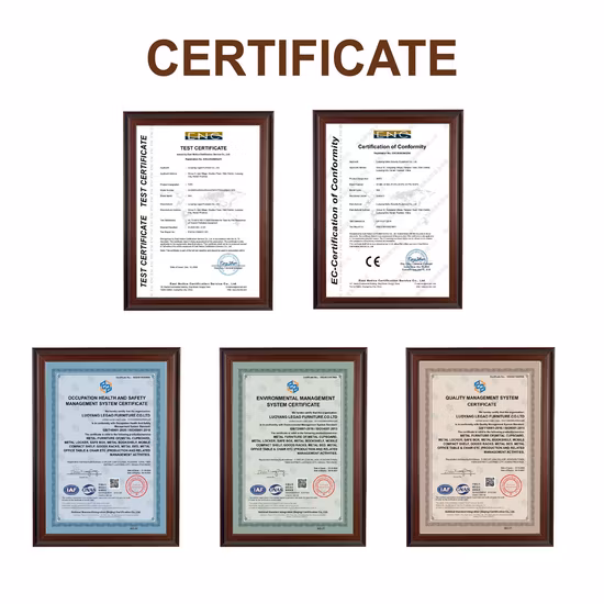 Casier en acier de personnel de vêtements de stockage de 6 portes avec des meubles de Cabinet de structure de Kd